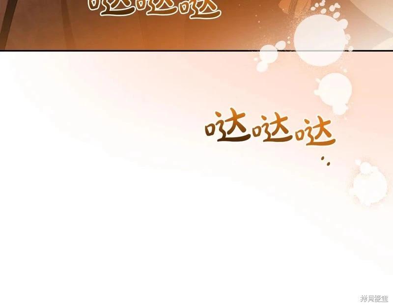 第 242 页