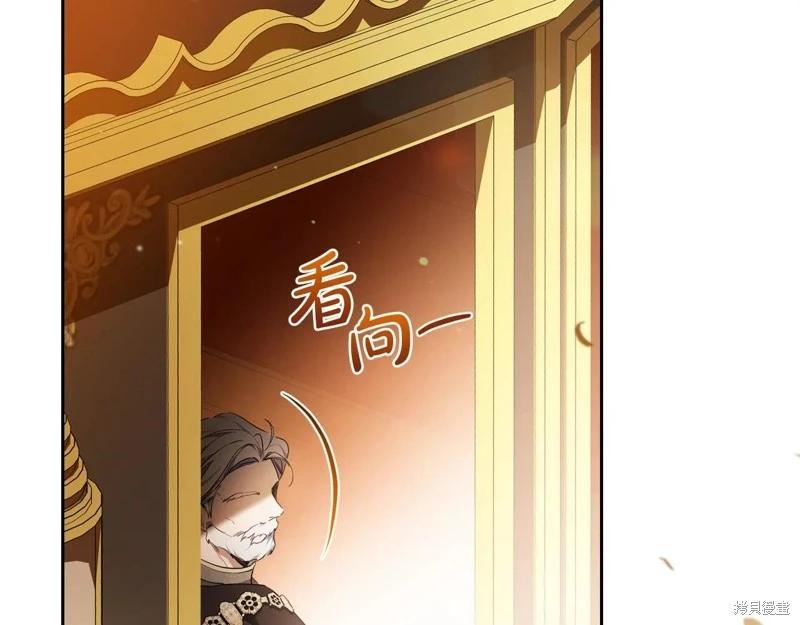 第 245 页