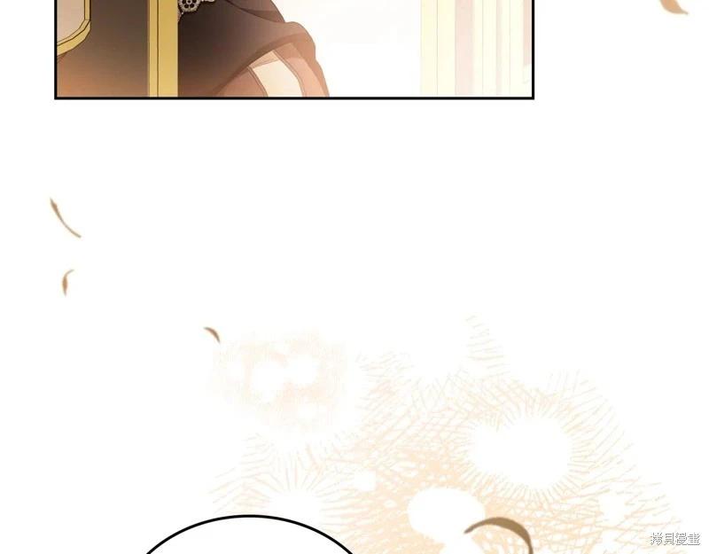 第 246 页