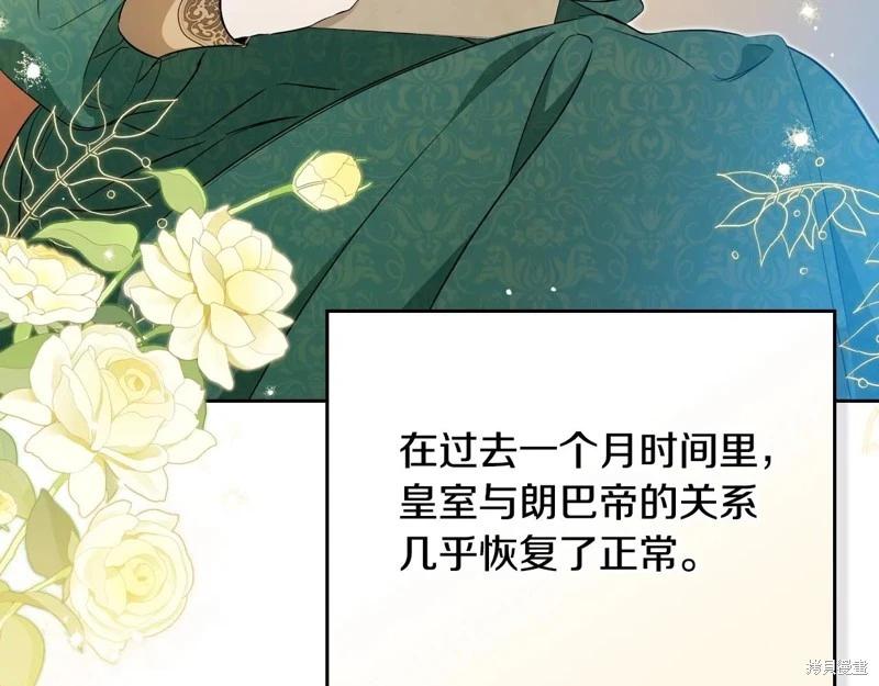 第 146 页