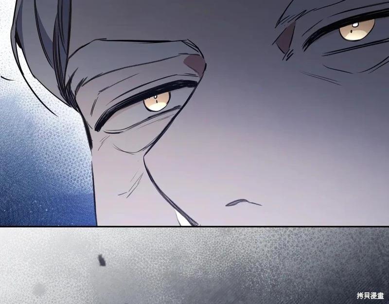 第 203 页