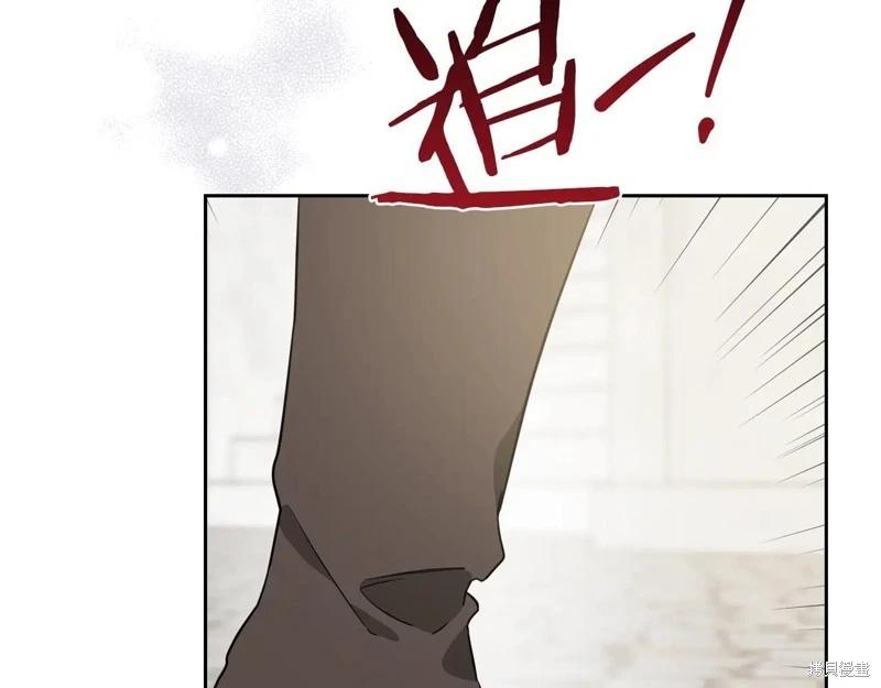第 231 页