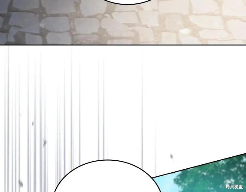 第 238 页