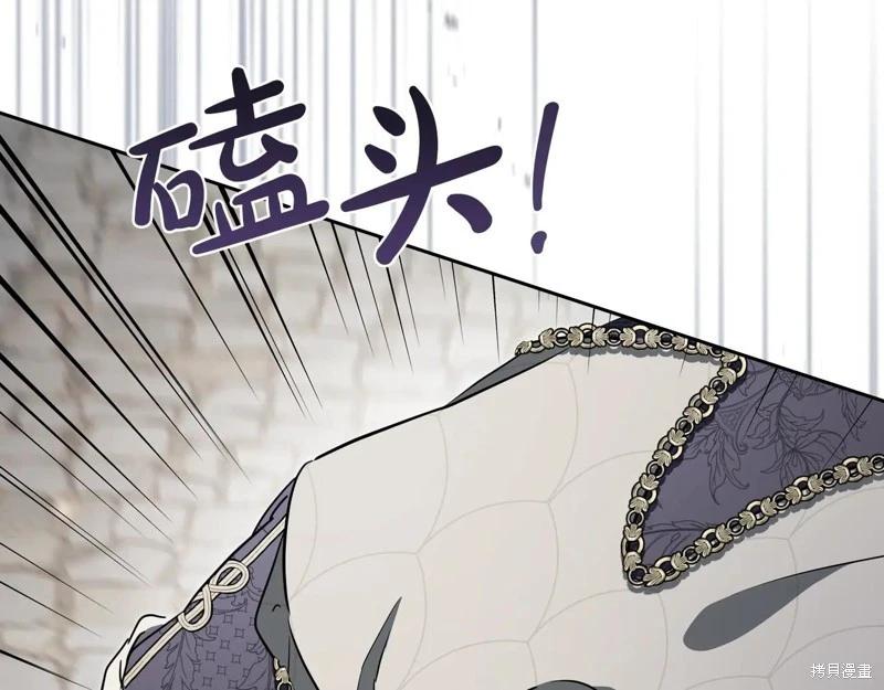 第 243 页
