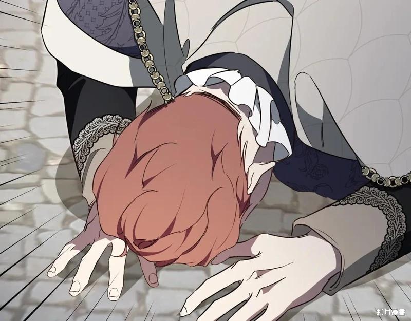 第 244 页
