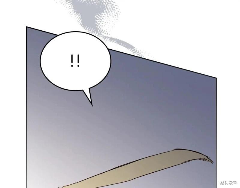 第 156 页