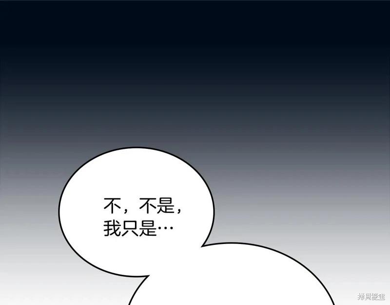 第 207 页