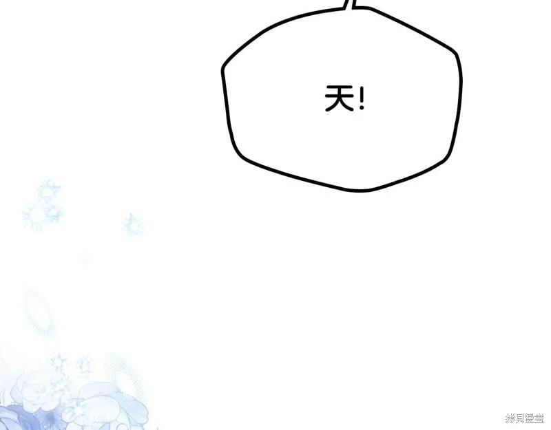第 210 页