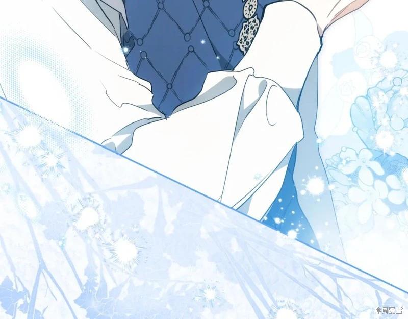 第 213 页