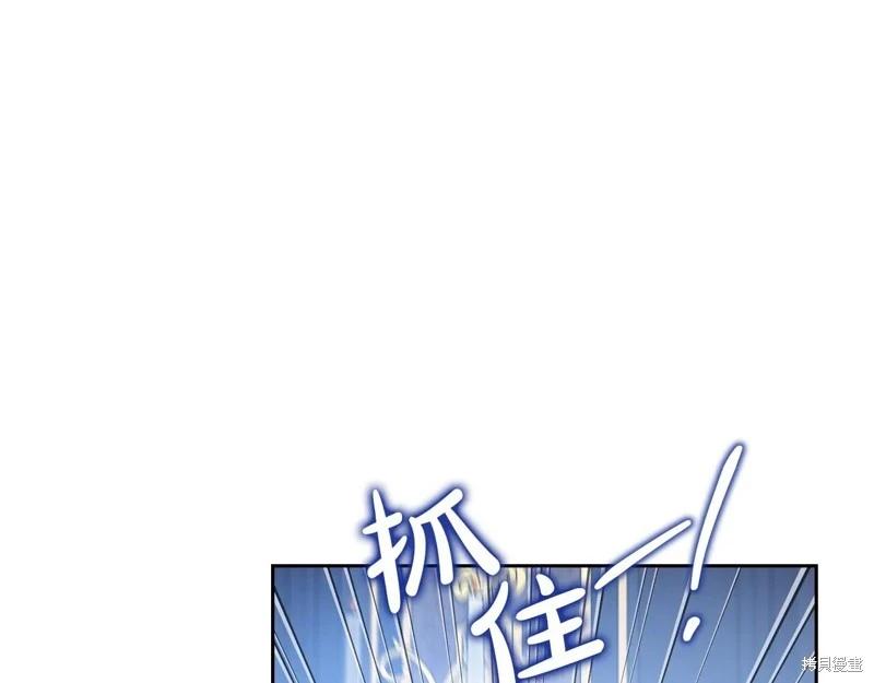 第 219 页