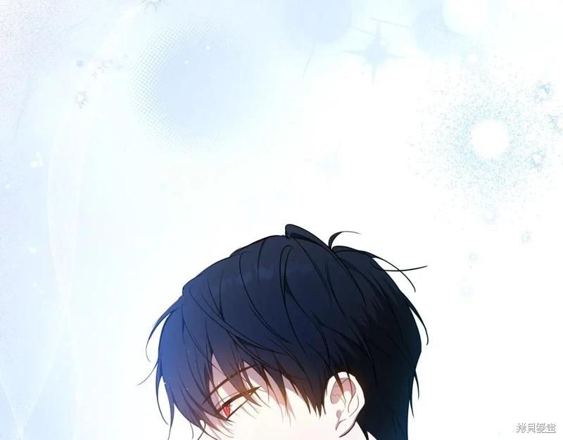 第 233 页
