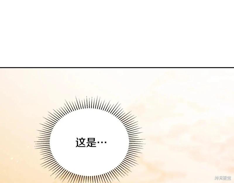 第 208 页