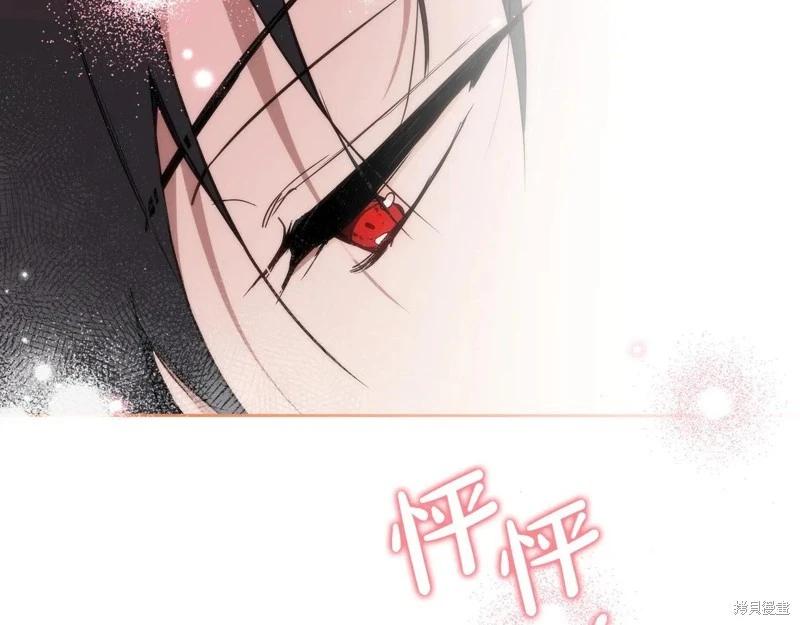 第 113 页
