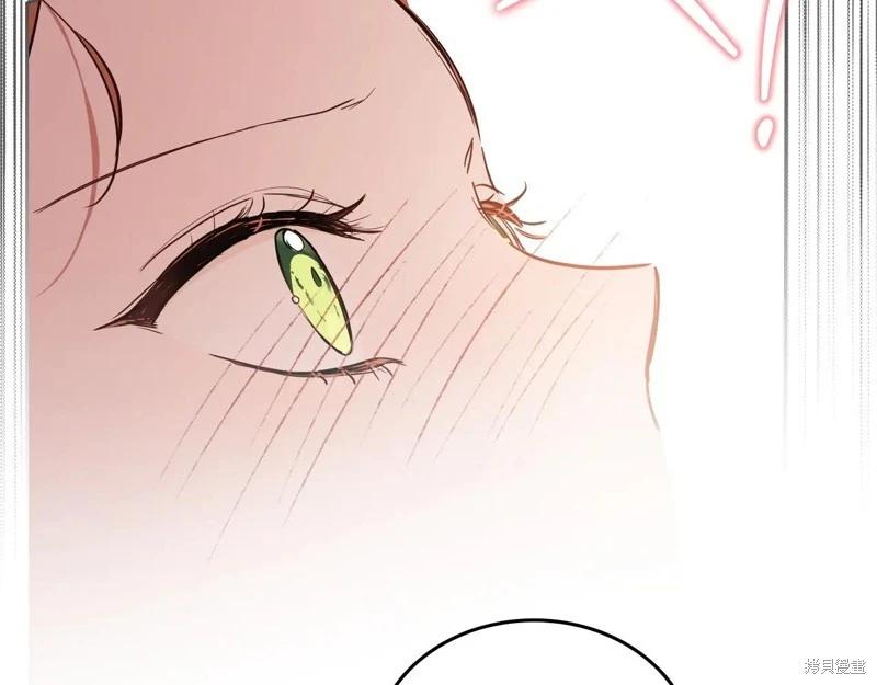 第 121 页