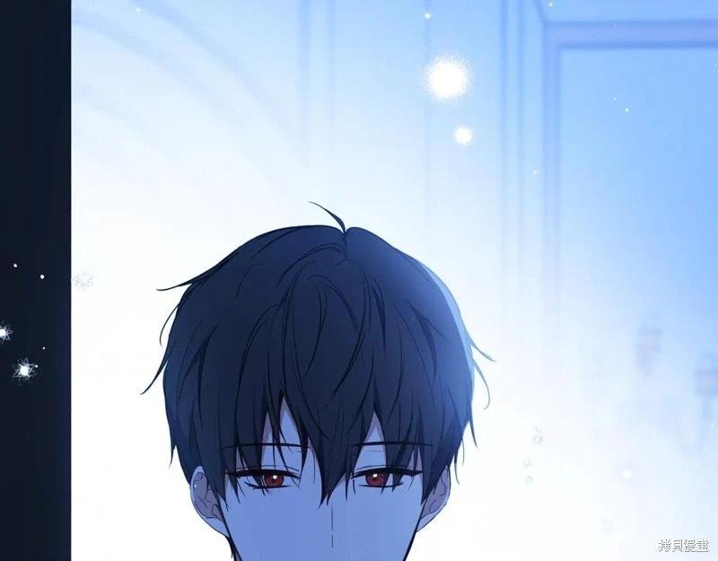 第 113 页