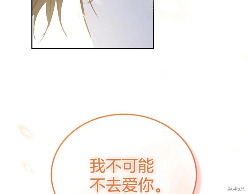 第 213 页