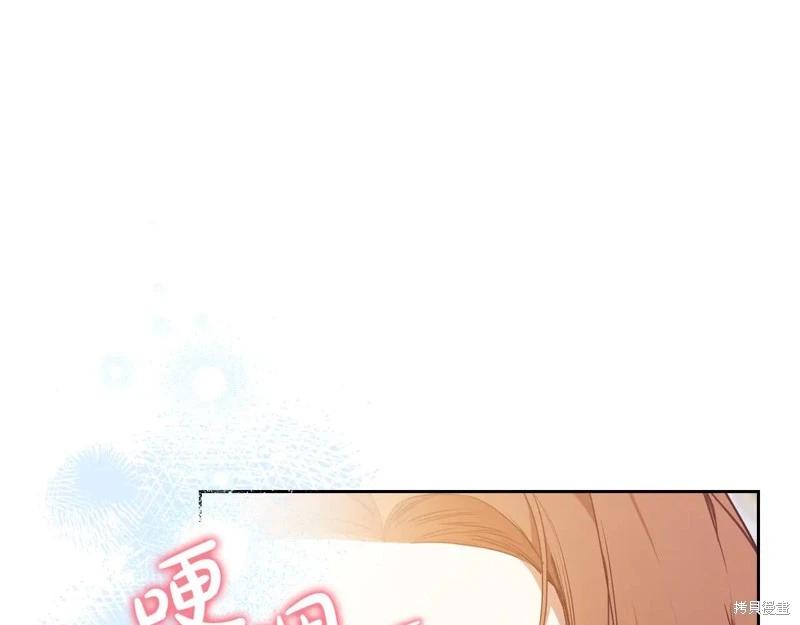 第 217 页