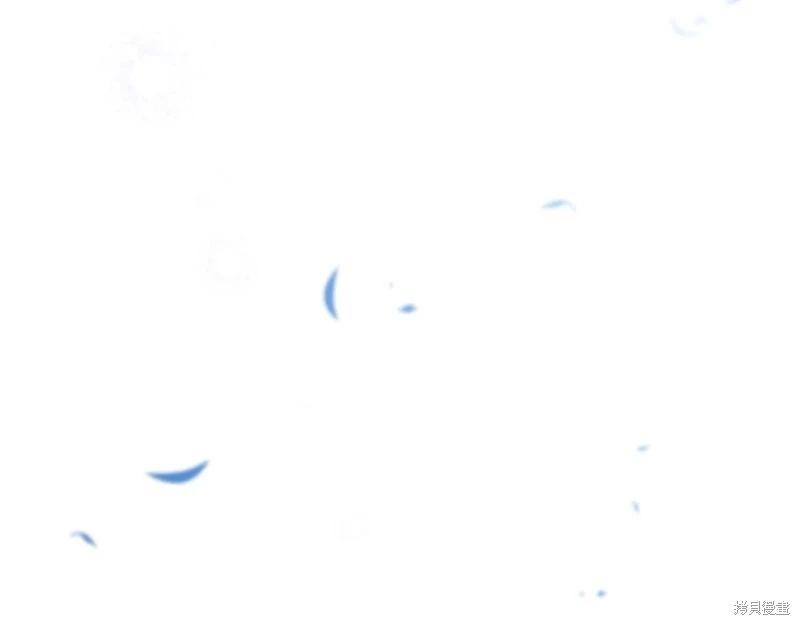 第 223 页