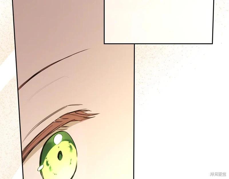 第 196 页