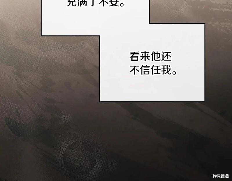 第 217 页