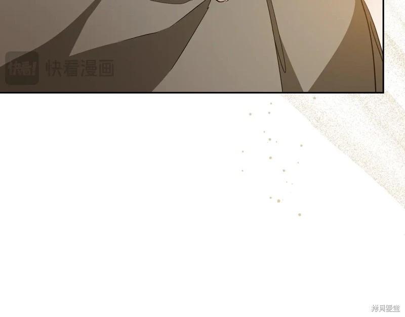 第 238 页