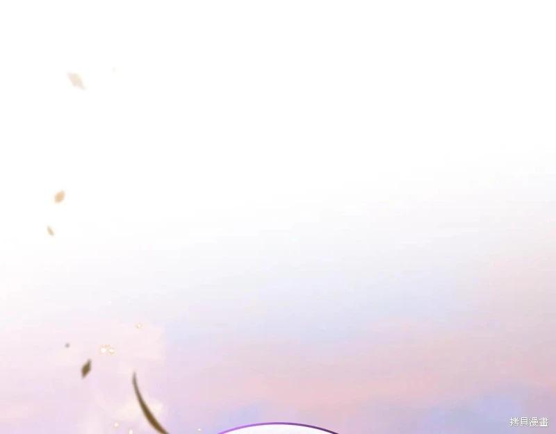 第 245 页