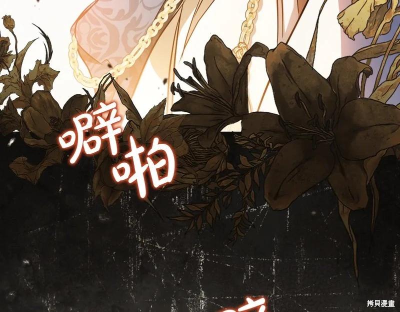 第 185 页
