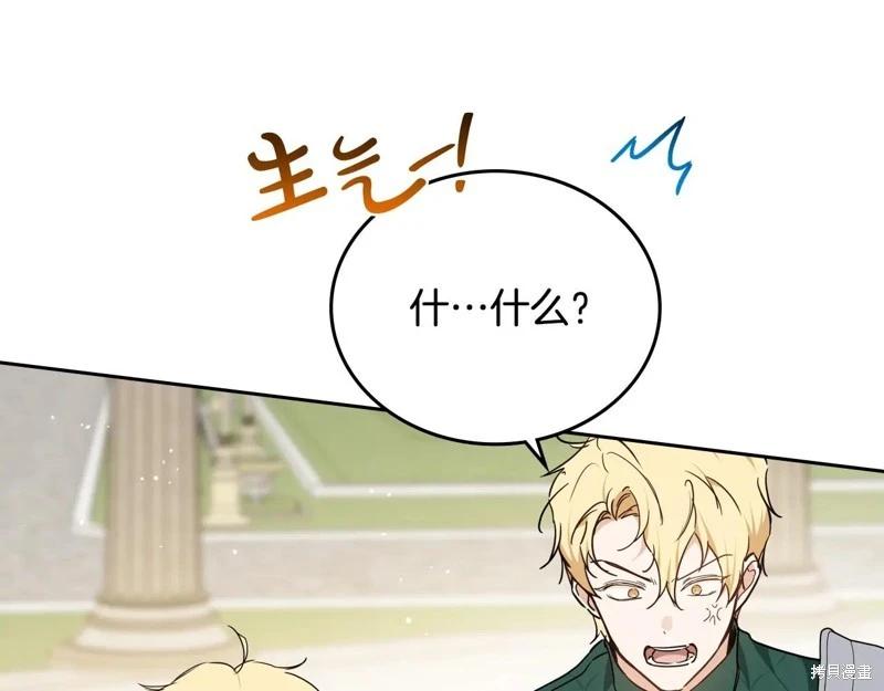 第 106 页