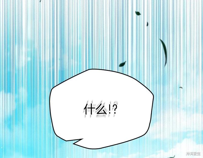 第 119 页