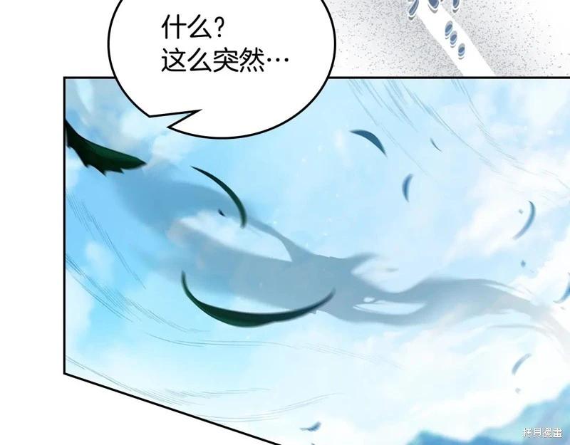 第 115 页