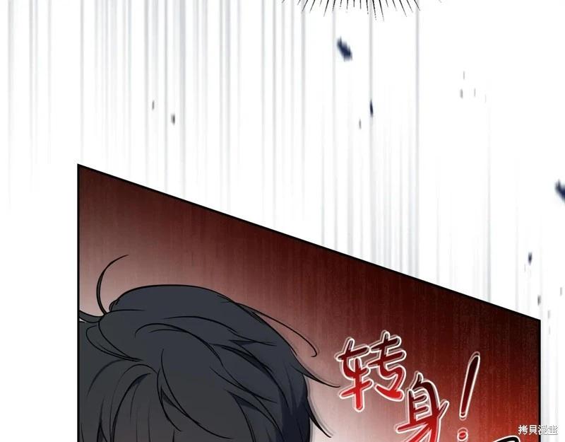 第 119 页