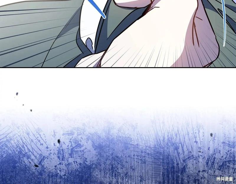 第 113 页
