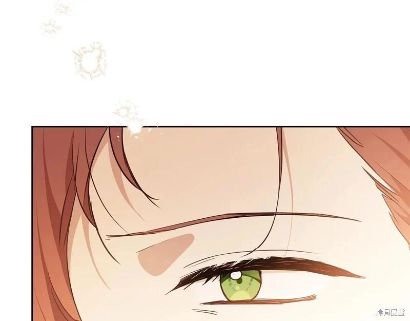 第 219 页