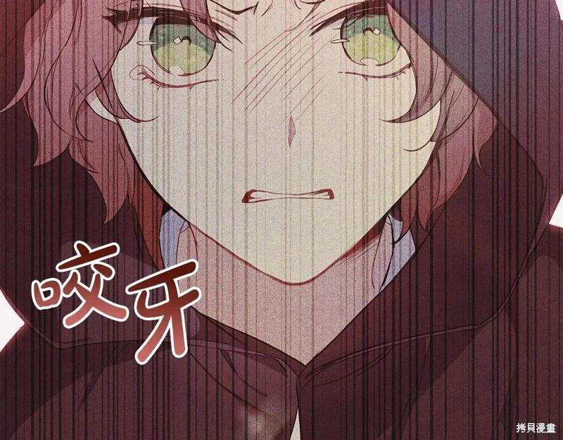 第 102 页