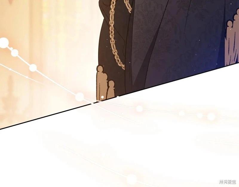 第 238 页
