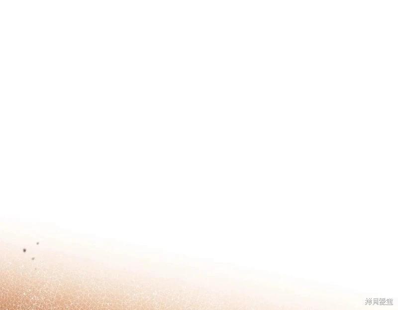 第 241 页