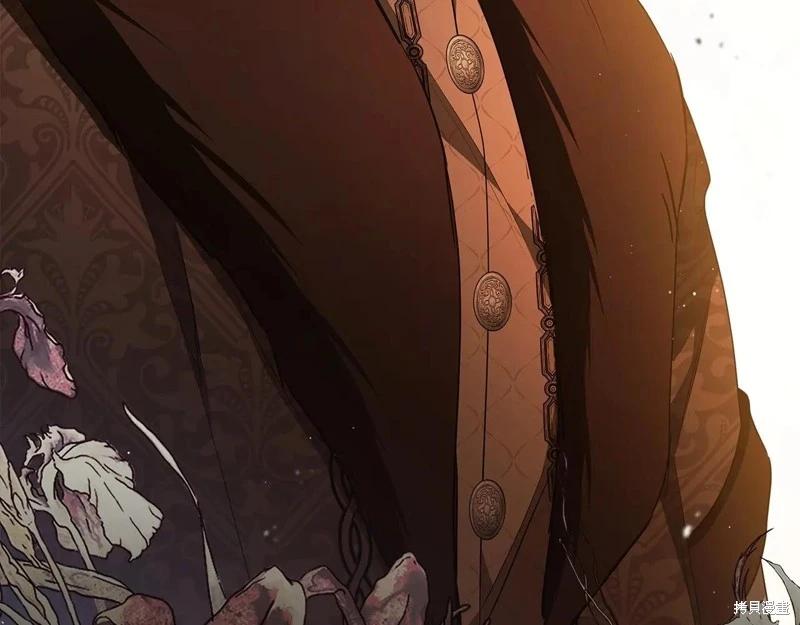 第 244 页