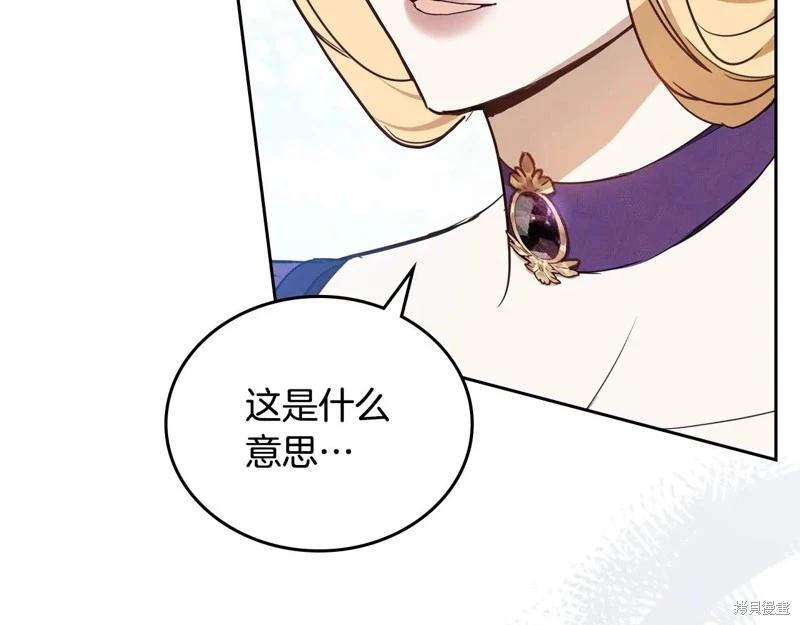 第 111 页