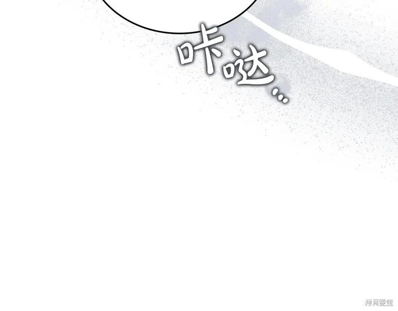 第 204 页