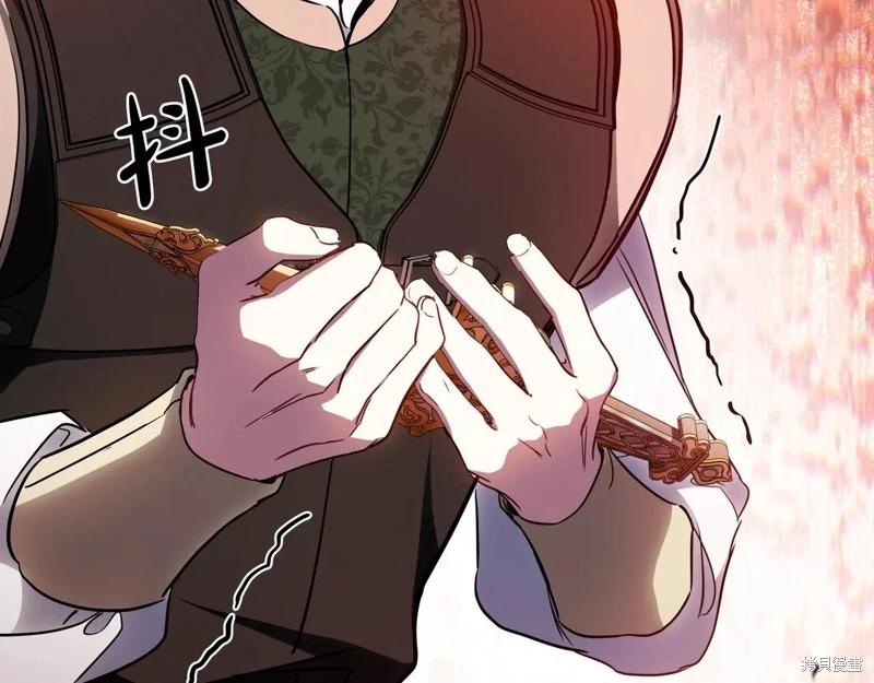 第 217 页