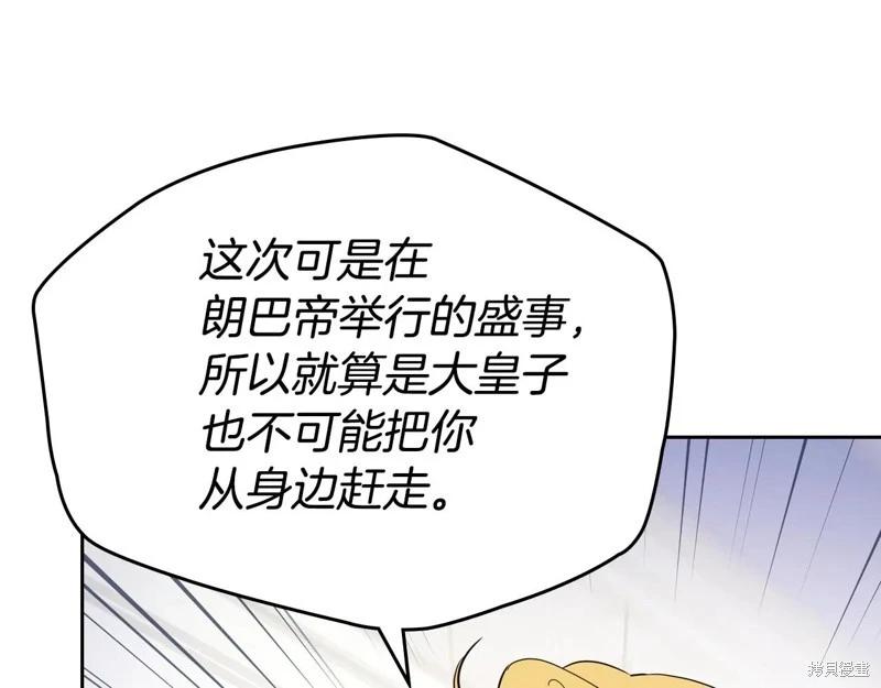 第 223 页