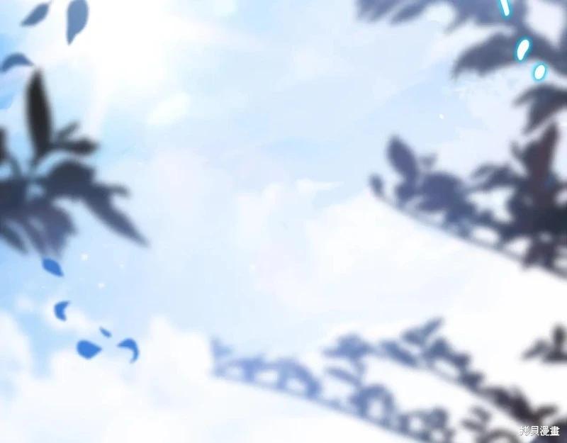 第 240 页