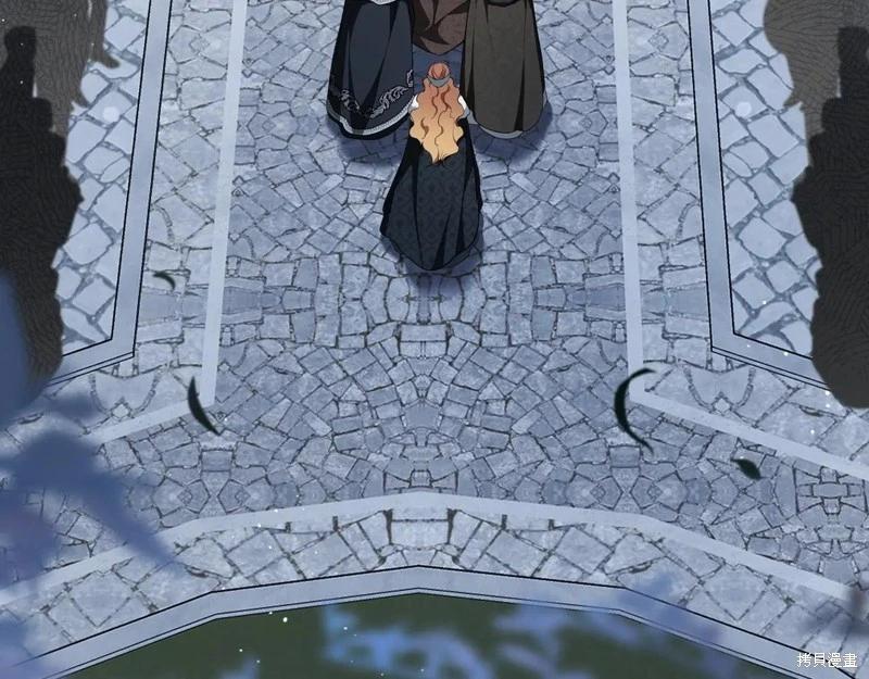 第 161 页