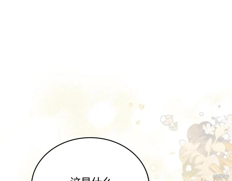 第 205 页