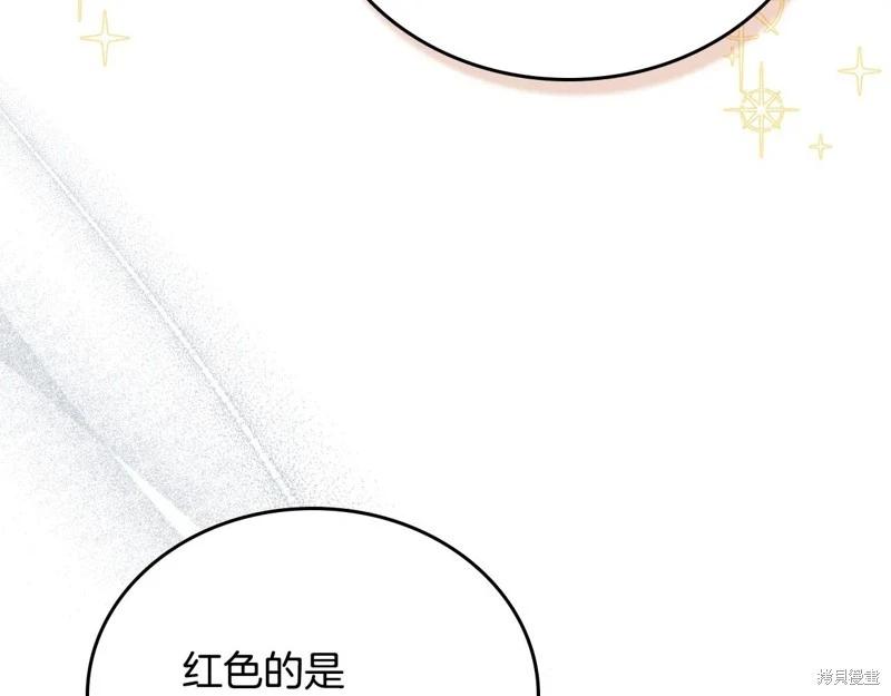 第 209 页