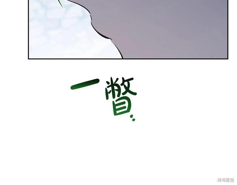 第 223 页