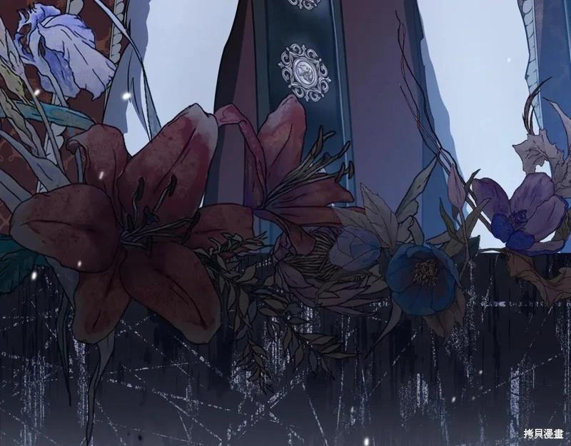 第 245 页