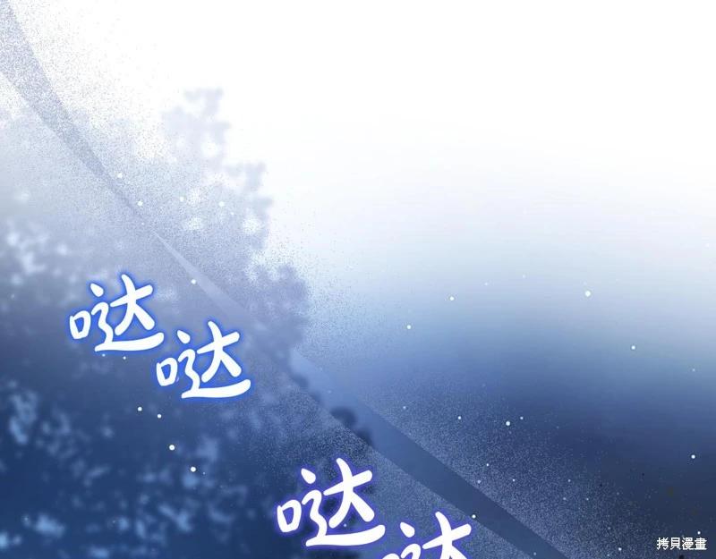 第 213 页