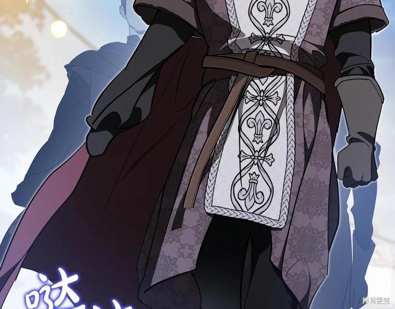 第 215 页