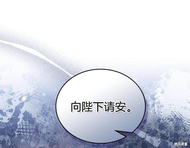 第 223 页